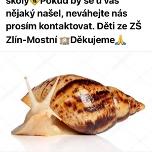 Zvětšit