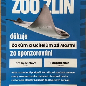 Zvětšit